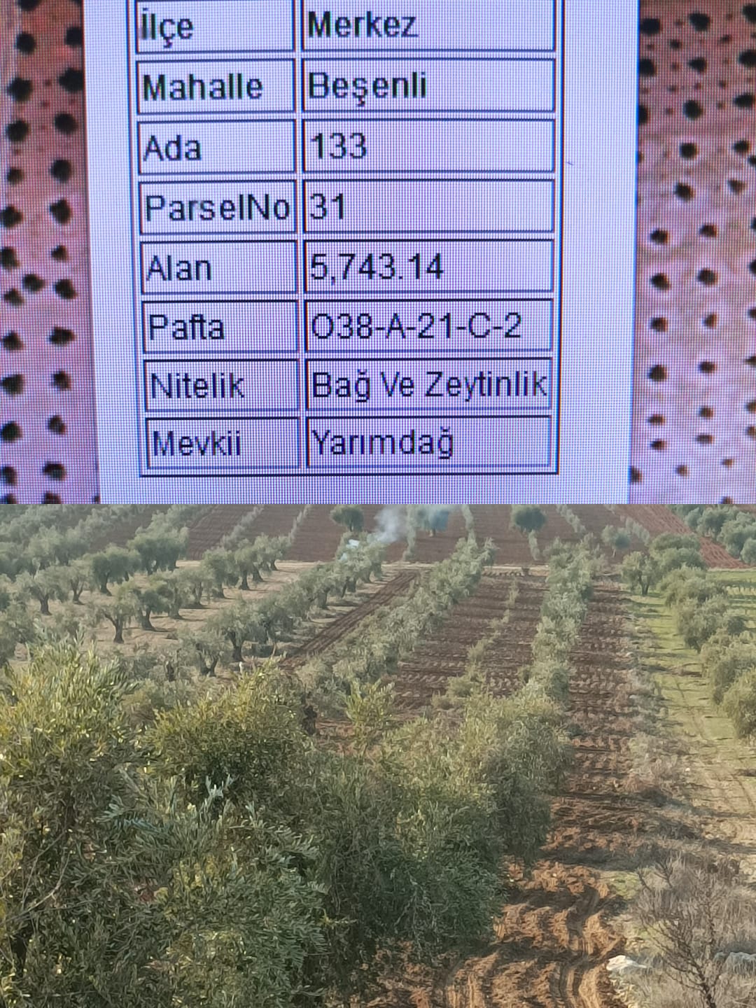 İlan Fotoğrafı